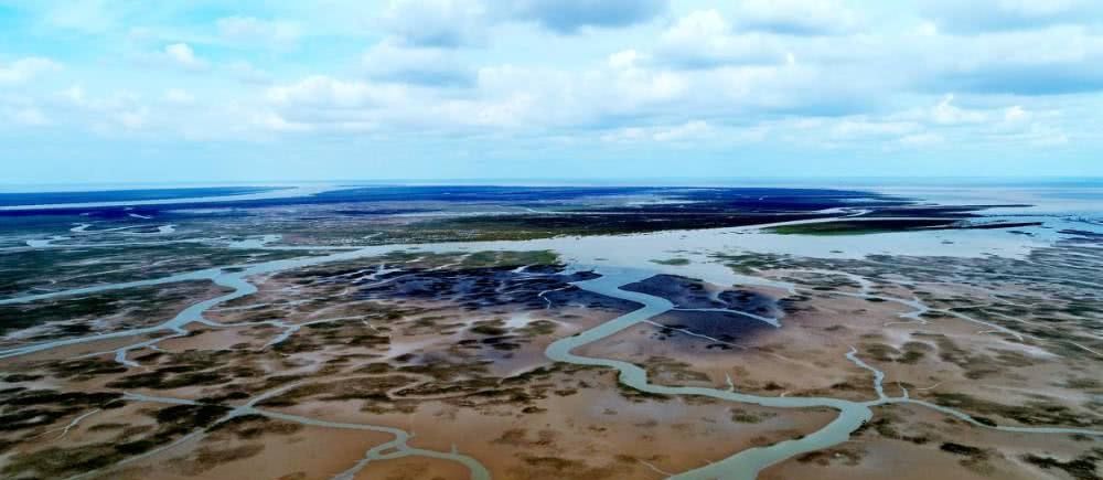 无法在海水中存活,那么当黄河流入大海后,河中的鱼都去哪里了?