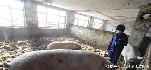 1号文件聚焦三农将补贴直接贴补到户！这5项政策真正做到扶贫！