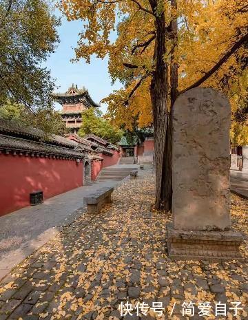  「合适」人生路需要一双鞋，苦乐之后自己体会，鞋合不合适只有脚知道！