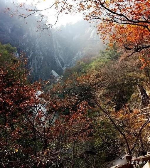  #口罩#2020年戴口罩游河南：青龙峡，宝天曼，王屋山，神垕古镇