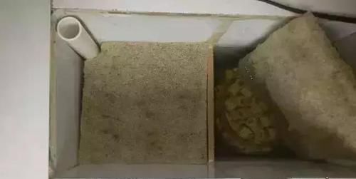  鱼缸：还在用鱼缸养鱼, 太难看了, 在阳台砌个鱼池漂亮又拉风!