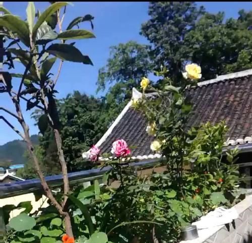  [生活]40岁之前，赚钱养家，40岁之后，种菜养花！