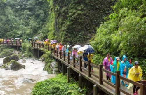 重庆最知名山峰，位列巴蜀4大名山，荣获7顶国家级桂冠！