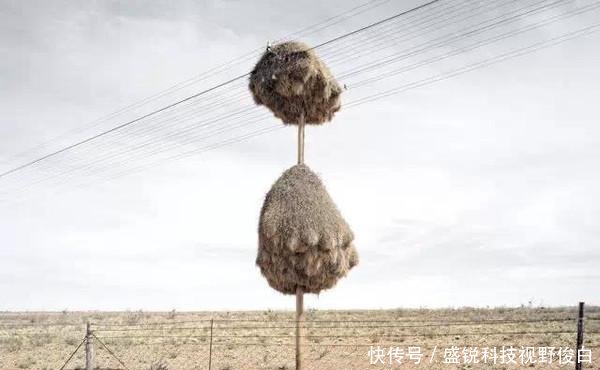 精选一组奇趣图片；北京西山上空出现圆形“航迹云”