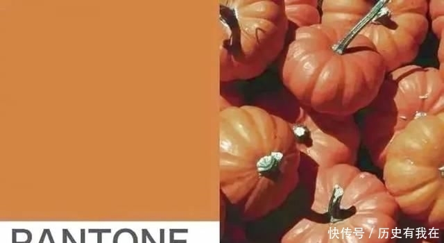 【靓丽】穿搭指南|新年首选南瓜色,百搭配色不挑人