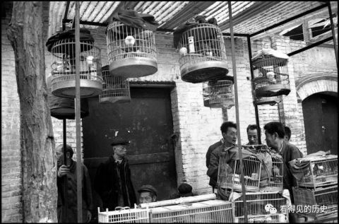 老照片：1984年成都农贸市场