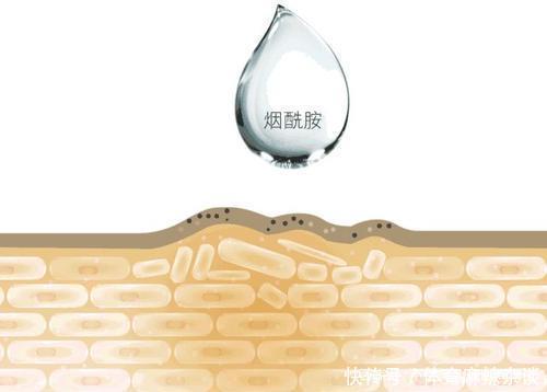 「刺激性」烟酰胺作为美白界的“扛把子”,效果到底如何能与维C相比吗