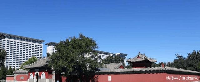 我国最强的钉子户，鸟巢是它的邻居，看它彪悍的人生！