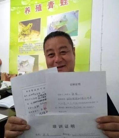 举报：开明市场有人“明目张胆”卖青蛙？！监管部门：没事