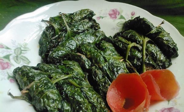  良药@农村里常见的杂草，是牙疼的必备良药