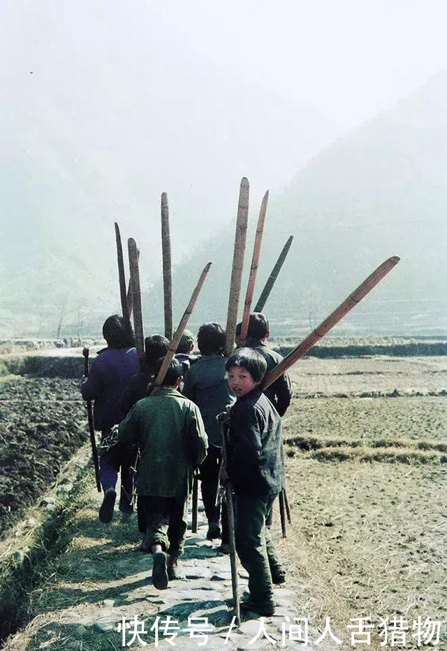 百看不厌，绝版珍藏！三十年前楠溪江畔老照片，张张都是回忆