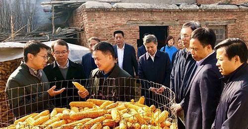 国家“扶贫路”进别墅群？被罚116万仍“猖狂”！问，为何扶贫？