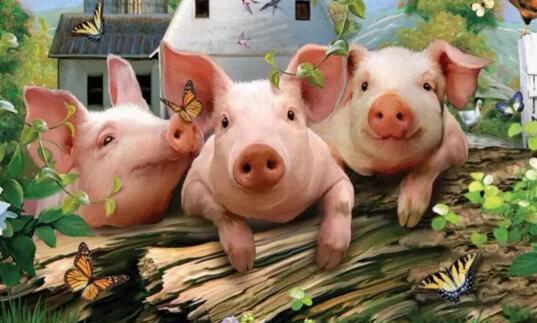 家庭农场模式发展养猪业前景好，具备以下条件您也能养猪