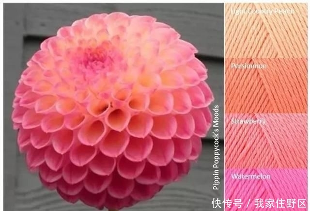  【色彩】「编织技巧」零基础也能学会的色彩搭配小技巧，配色太重要了