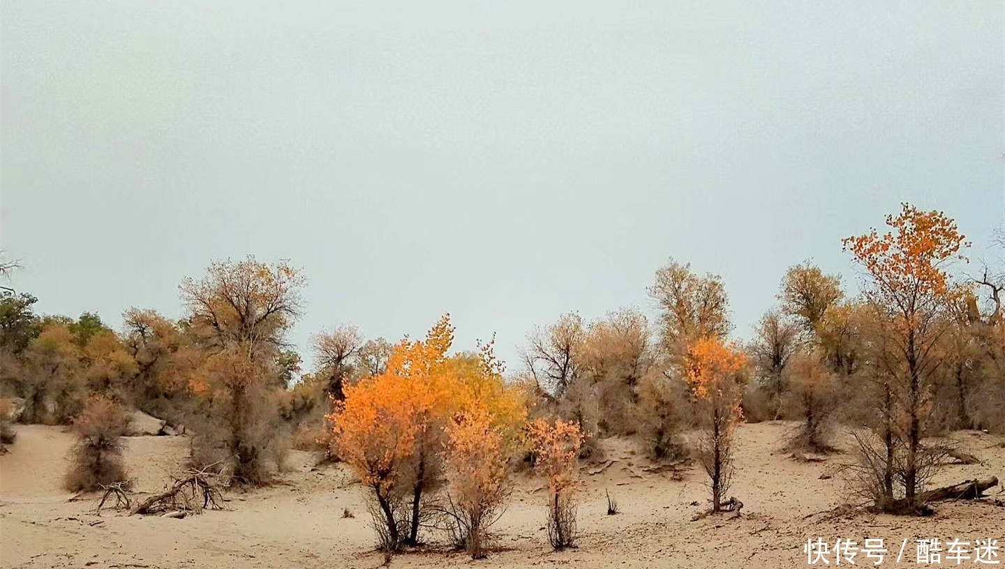 在330000平方公里的塔克拉玛干沙漠中,任裙飘扬,随风起舞