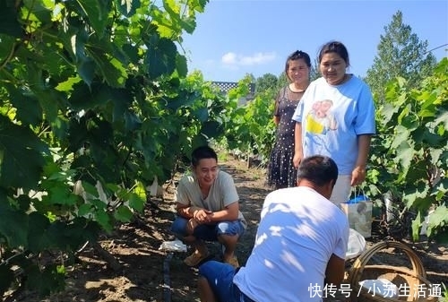  #亩葡萄#城里生意难做，农村人回老家种葡萄，当初信心满满，如