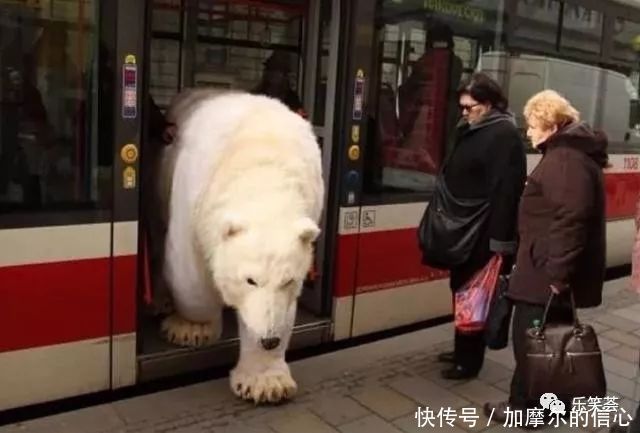 22张不可思议的世界照片，竟然不是PS