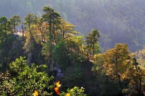 广西被忽视的一座山，主峰海拔1785米，是广西中西部最高点