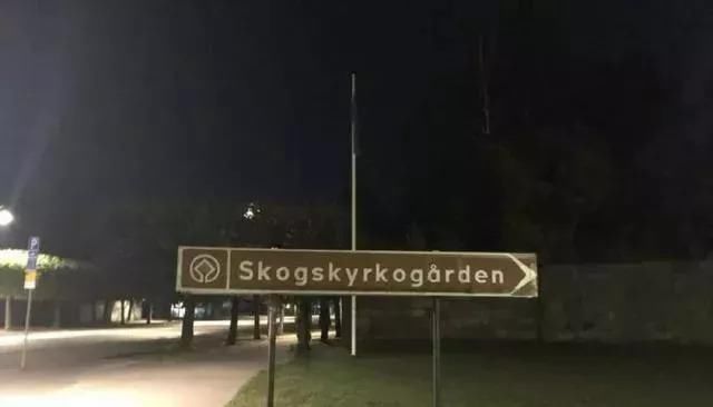 中国游客神演技，骗得过外交部，骗不过瑞典吃瓜群众