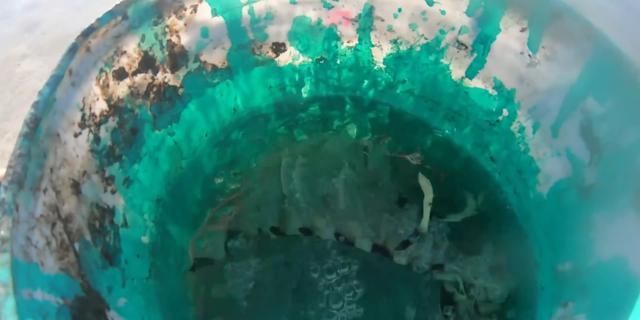  「准确」到海里去，多注意海里的小坑。里面有皮虾。一次钓鱼是准确的。又大又胖