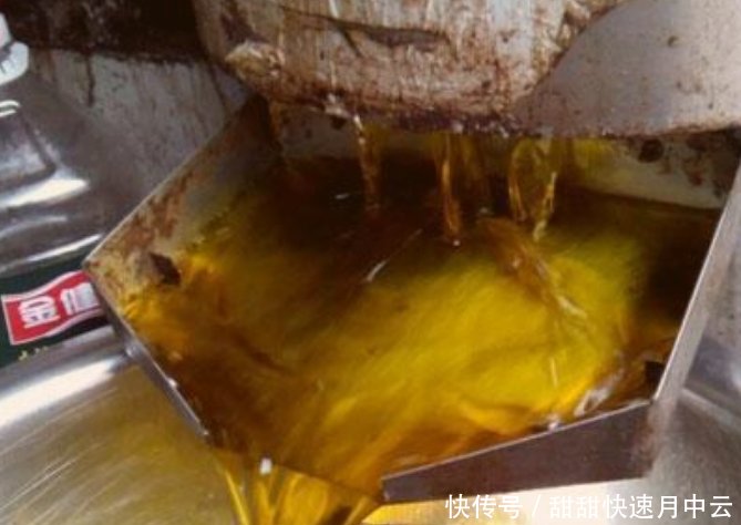  榨油|农村自榨油到底能不能吃城里人都想错了，看看专家的建议