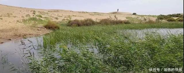 走进库布其，当沙漠遇上黄河水