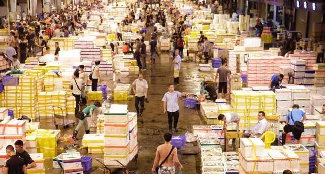  「小世界」大湾区小世界：猪肉已经吃不起？来吃开渔后的海鲜吧