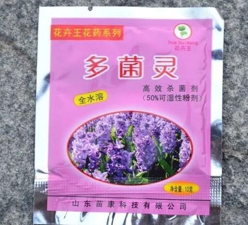  『杀菌剂』常见5种内吸性广谱杀菌剂，可以轻松去除植物感染的病害
