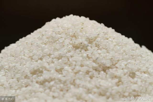 农业农村部今日粮食行情：大豆和玉米价格下调，大米价格稳定