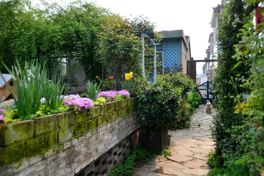 40岁高薪夫妇提前退休，造3000㎡花园惬意养老，还有酒坊！