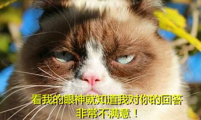 热搜杨颖假吃爆米花被骂惨，官博澄清言词激怒8万网友评论怼骂