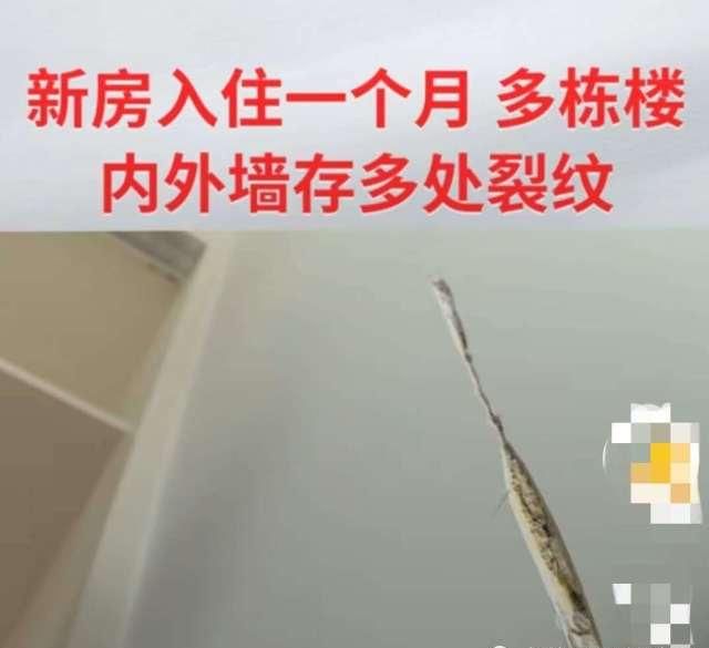  『影响』新房入住一个月，墙体开裂，开发商：不影响