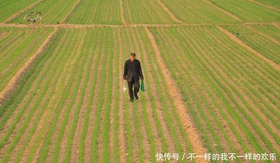  【提前】未来2年，4个农村新兴职业或许很挣钱，但门槛稍高，农