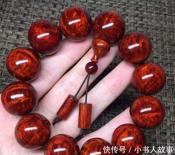  【帝王】原来有钱人家都养这个花，镇宅，招财，这可是“帝王之木”