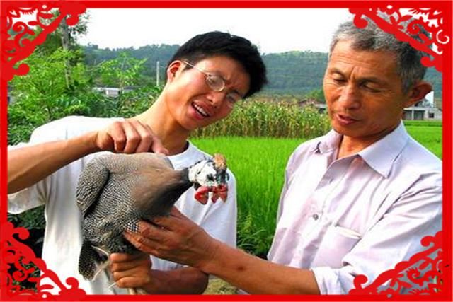  『果园里』在目前农村，有哪些种养结合的致富项目呢？推荐几个供参考