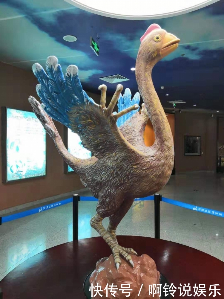 超震撼17000多枚恐龙蛋化石创下世界之最