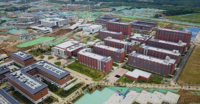 山东省委最年轻常委，任本省最年轻大学书记