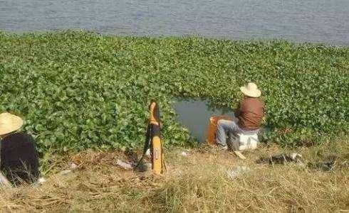  「水域」这几种水情，地势再好也不能下竿