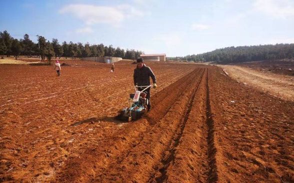  [农业农村部]紧急行动！沙漠蝗入侵云南，还有更严重的“幺蛾子”！
