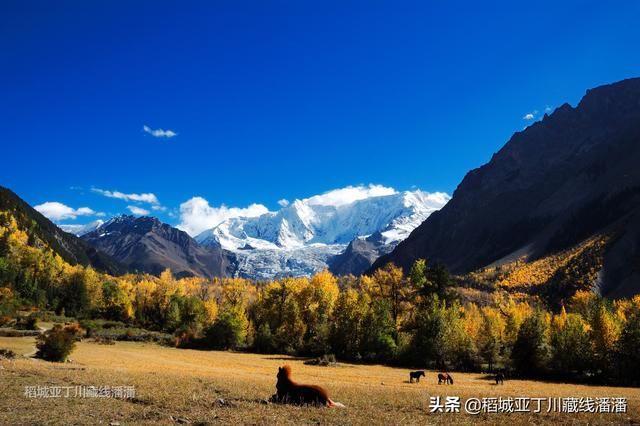 一个人去川西稻城亚丁要注意什么？ 从成都一直向西川藏线到拉萨