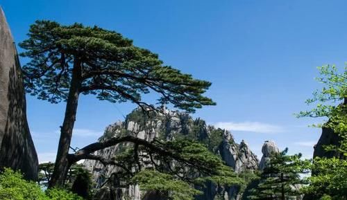 中华十大名山，天下第一奇山，黄山风景区