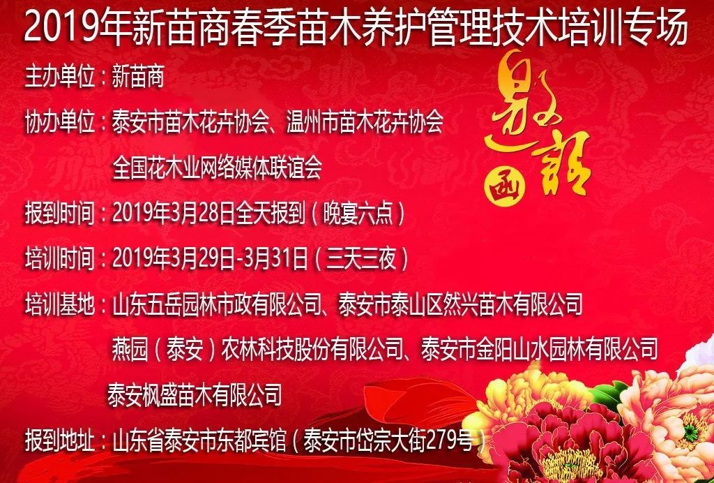 庭院深深，中式庭院 · 怡然自得