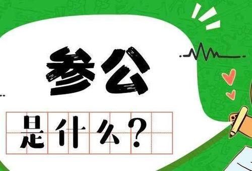 参公事业单位有哪些，参公人员是怎样一种身份，与公务员有何异同