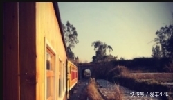 中国最“悠闲”的火车，速度还没有自行车快，游客却络绎不绝