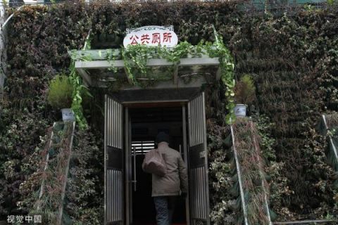  奇葩：视界 | 世界厕所日 盘点那些脑洞大开的奇葩厕所