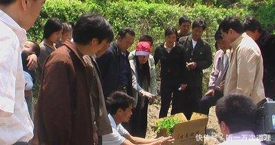 一粒种子成本2元，一亩多地收益12万，农民创业致富种植新项目
