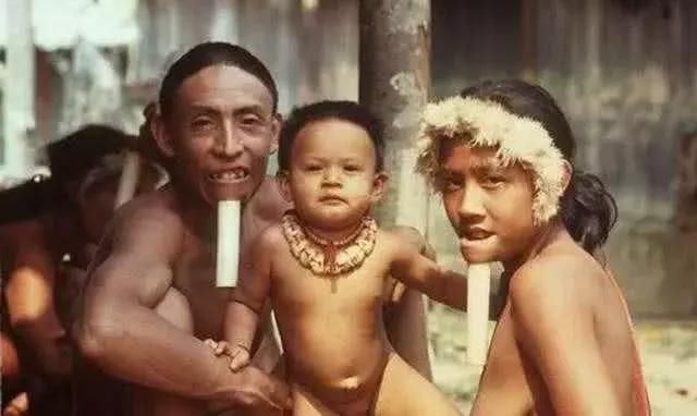 「部落」这个部落人人赤身，以下巴插木棍为美，让人惊奇