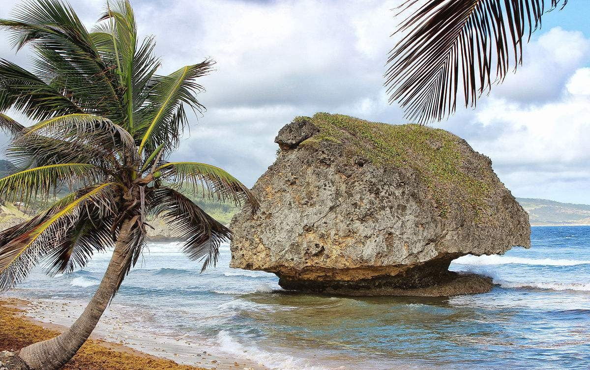 世界唯一黑人发达国家：全国80%黑人，却与韩国一同成发达国家