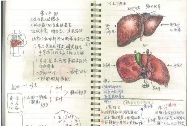 「建筑工程学」顶尖高校学霸晒出“神仙笔记”网友跪了这就是差距啊
