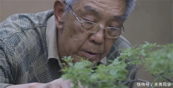 写意■走进郑州一座“重在写意”的盆景园林:河南中州盆景文化园